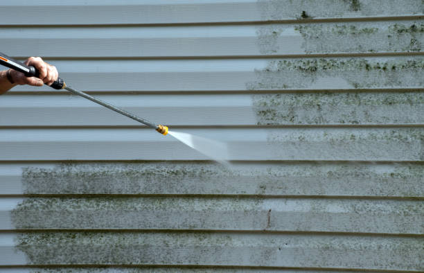 Best Fence Cleaning  in Seabrook, TX